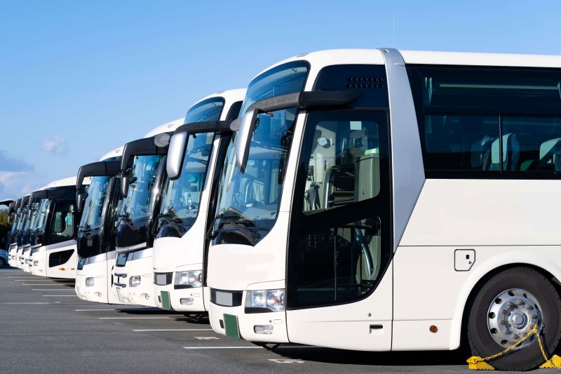 A row of white buses parked diagonally in a lot under a clear blue sky, creating a sense of order and readiness.
